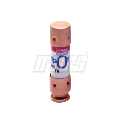 10A 250 FUSE TR10