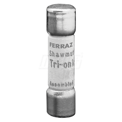 2A MIDGET FUSE TRM2